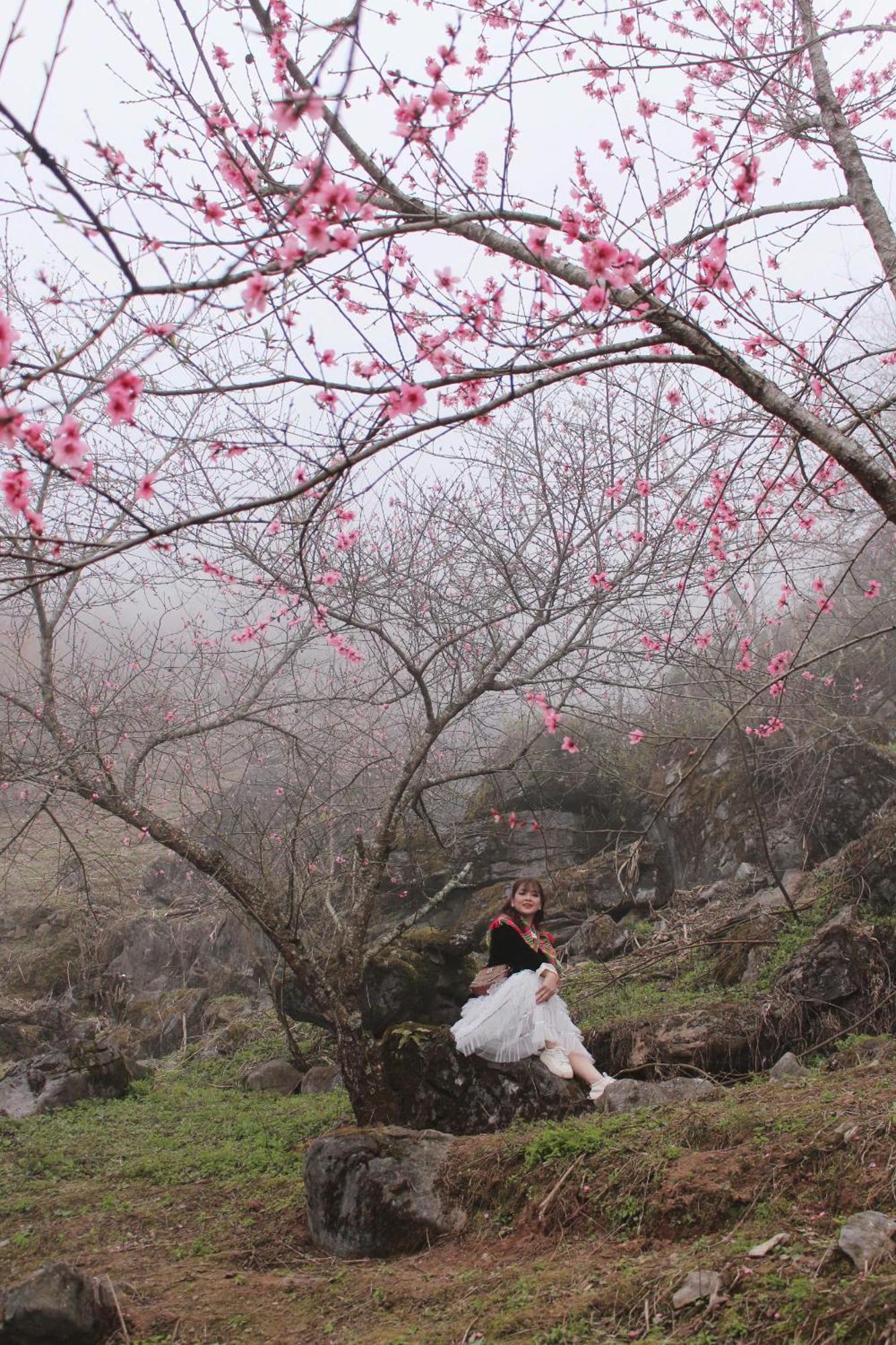 lều Hapu Loung Co